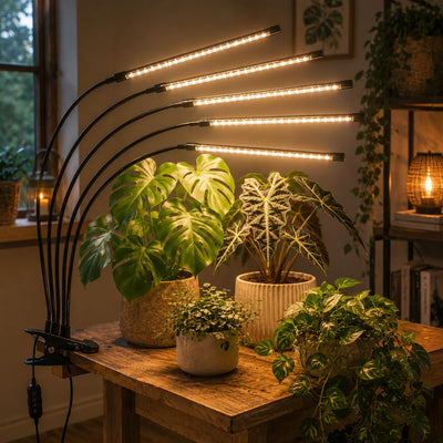 Lampe horticole
