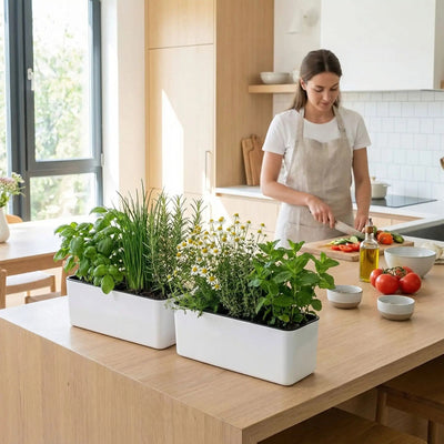 pot-de-fleurs-fines-herbes