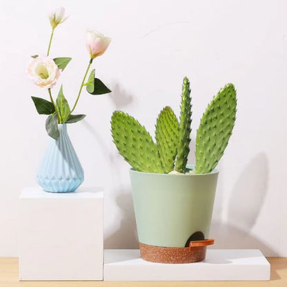 Pot de fleurs - hydroponique