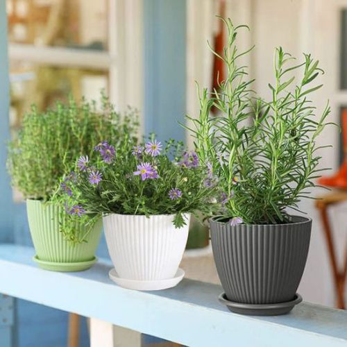 Pot-en-plastique-décoratif