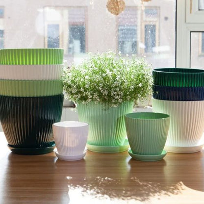Pot-en-plastique-différent-formats