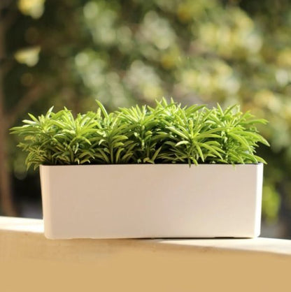 Pot-en-plastique-extérieur