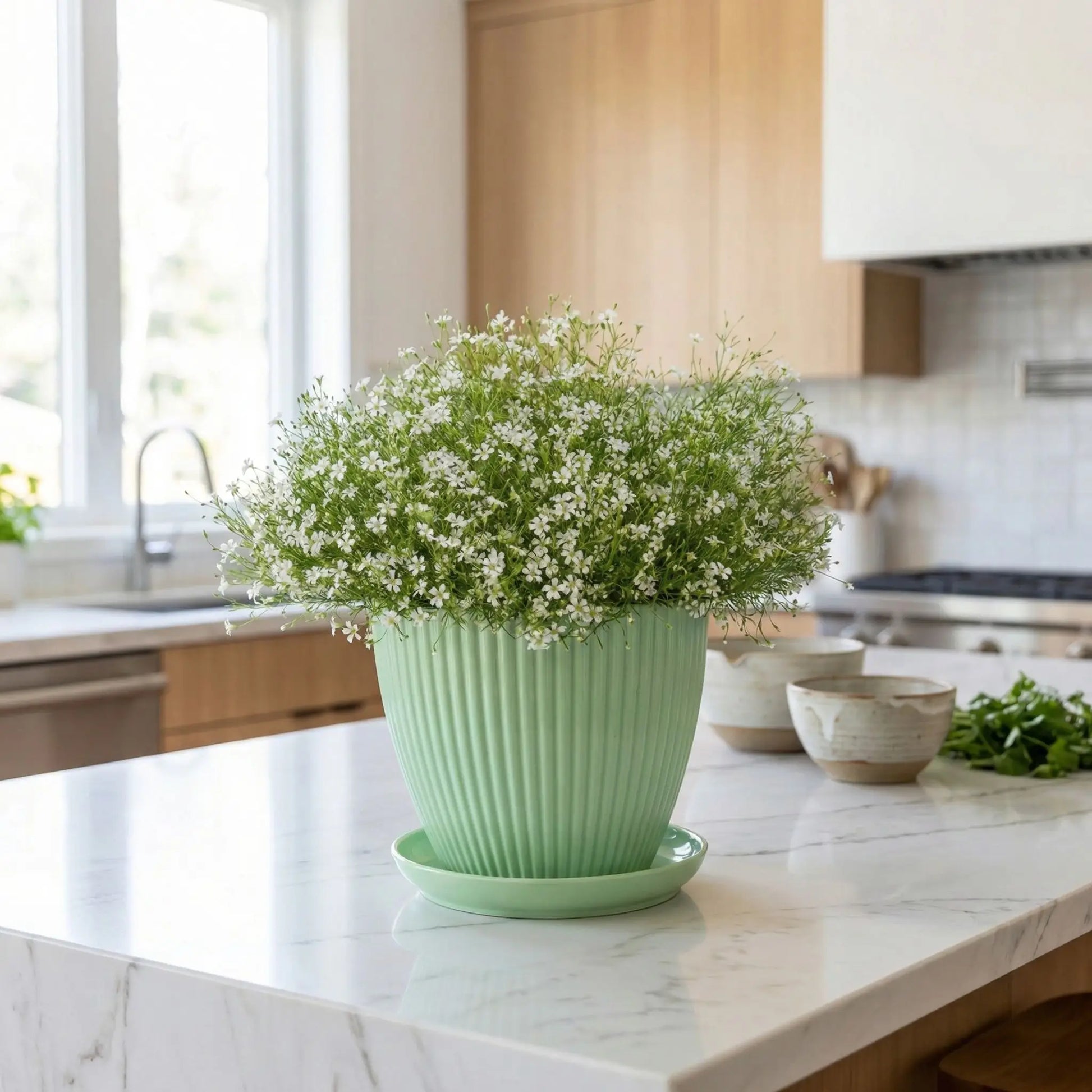 Pot-en-plastique-vert-menthe