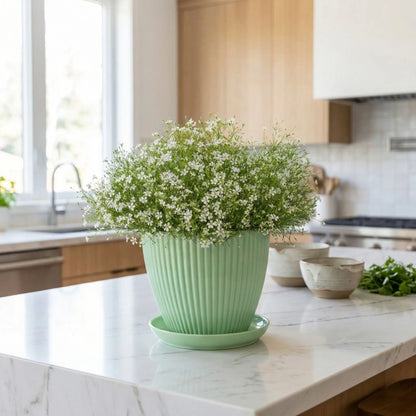 Pot-en-plastique-vert-menthe