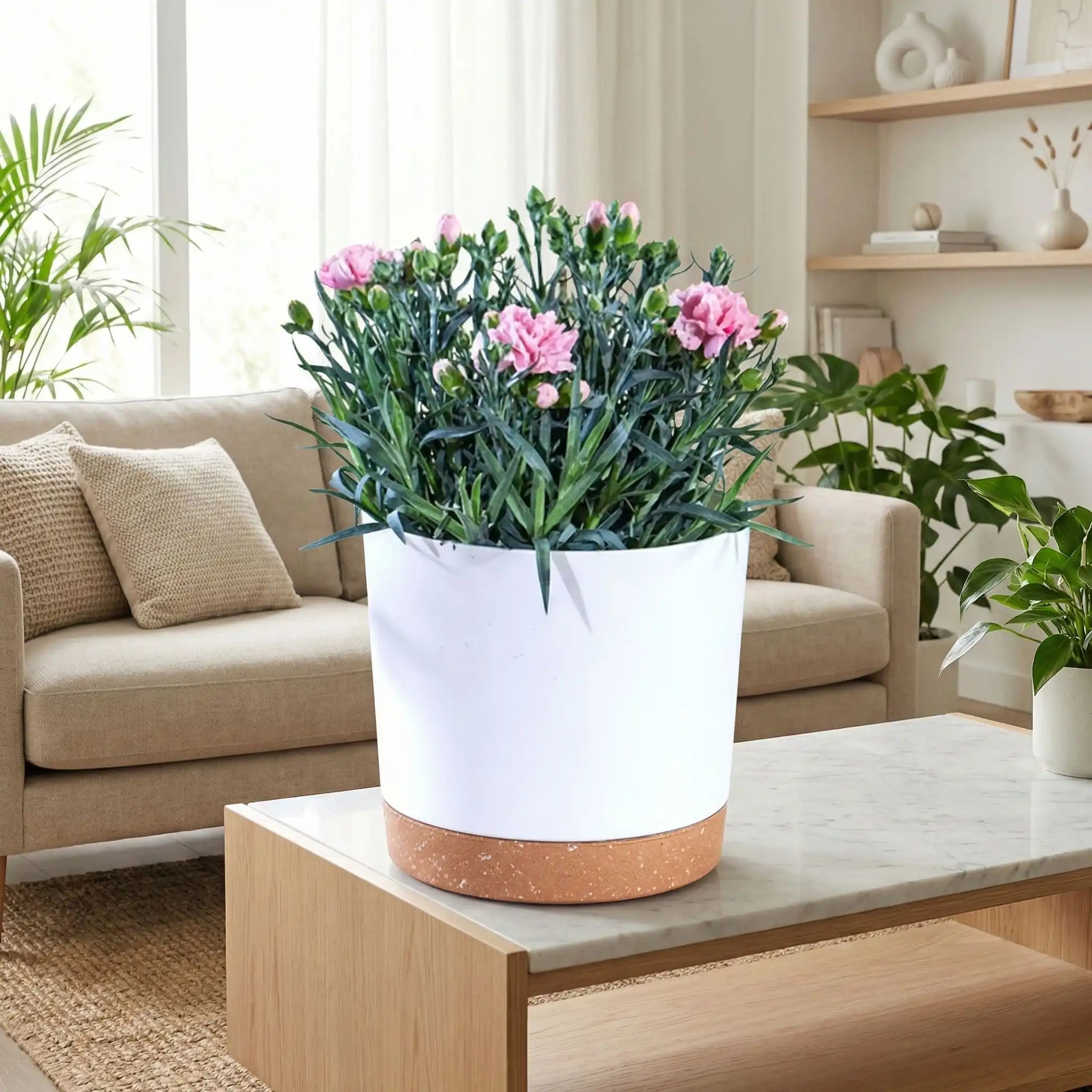 Pot-plante-intérieur-blanc