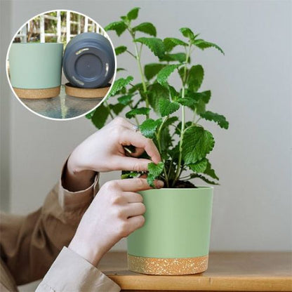 Pot-plante-intérieur-résistant