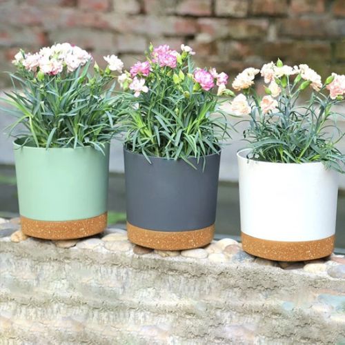 Pot-plante-intérieur-trois-couleurs