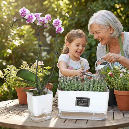 Pot-pour-plante-intérieur-Blanc