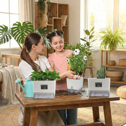 Pot-pour-plante-intérieur-arrosage