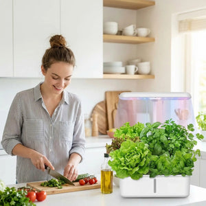 Potager-d'intérieur-légumes