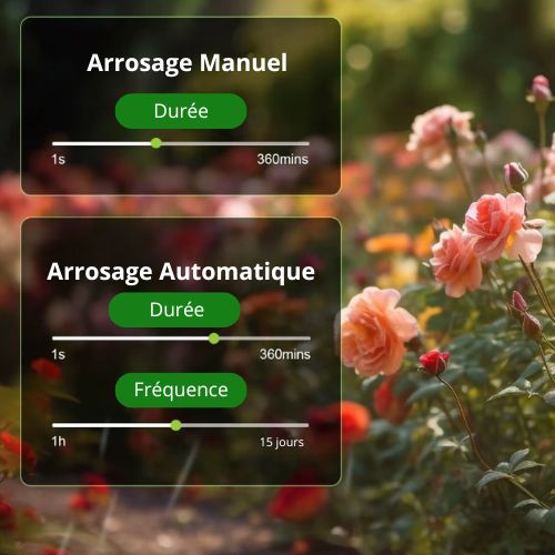 Programmation-arrosage-fréquence