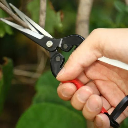 Sécateur-professionnel-branche