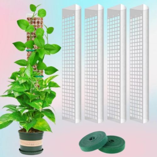 Tuteur-pour-plante-grimpante-quatre