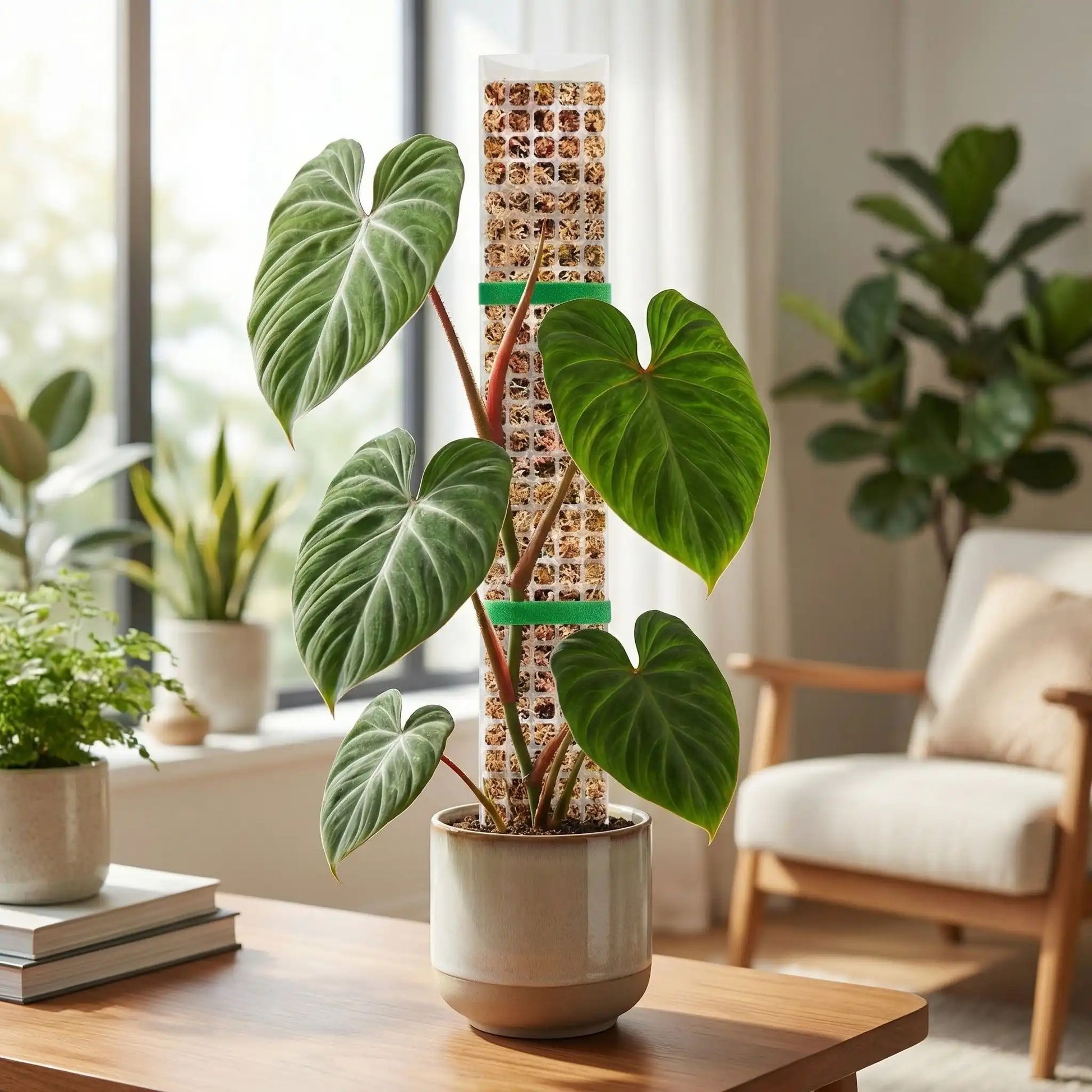 Tuteur-pour-plante-grimpante