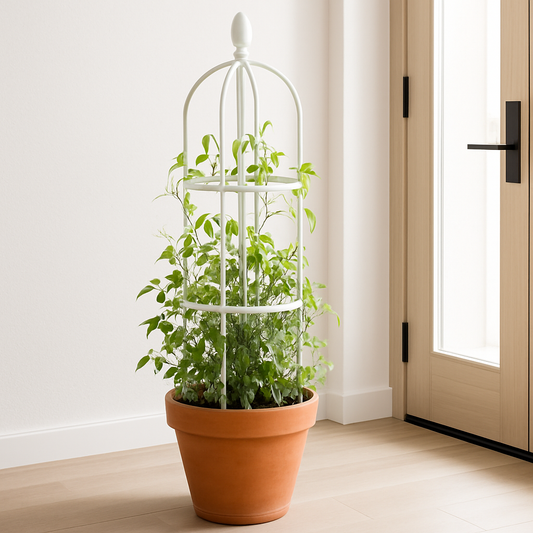 Tuteurs-plante-verticale