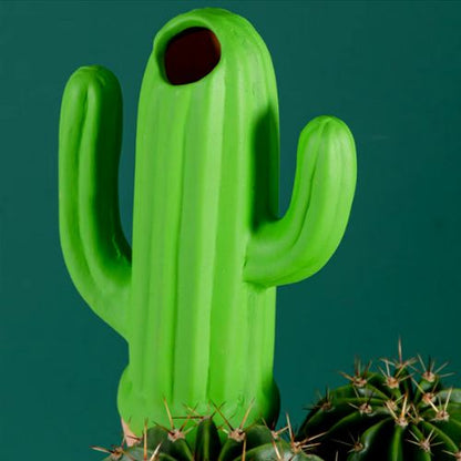 Arrosage goutte à goutte - Cactus - Passion Horticulture