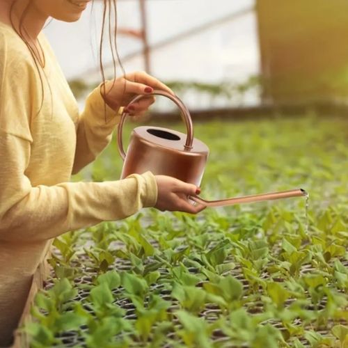 Arrosoir Au Design élégant De 50 Litres Avec Long Bec; Parfait Pour L' Entretien Ciblé Des Plantes D'intérieur/extérieur (vert