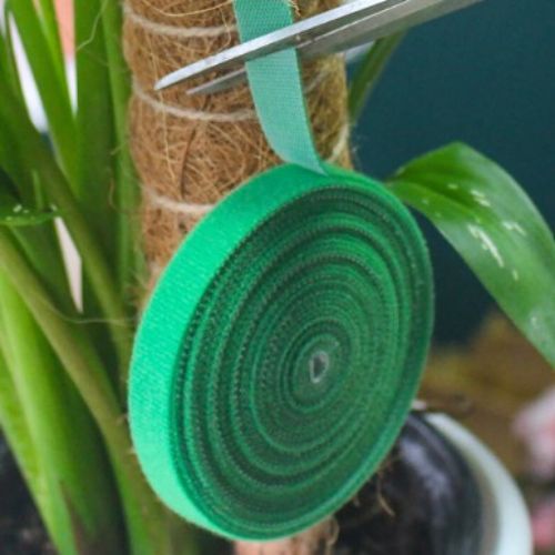 attaches-pour-plantes-grimpantes-ajustable