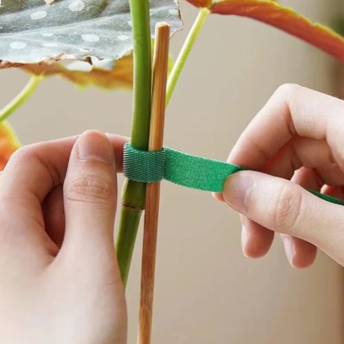 attaches-pour-plantes-grimpantes-durable