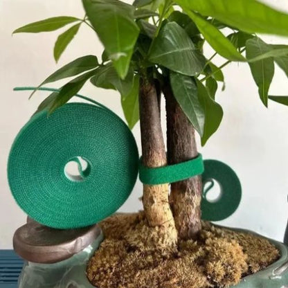 attaches-pour-plantes-grimpantes-résistant