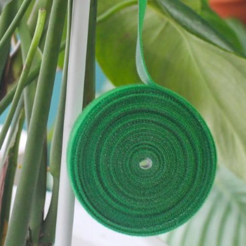 attaches-pour-plantes-grimpantes-vert