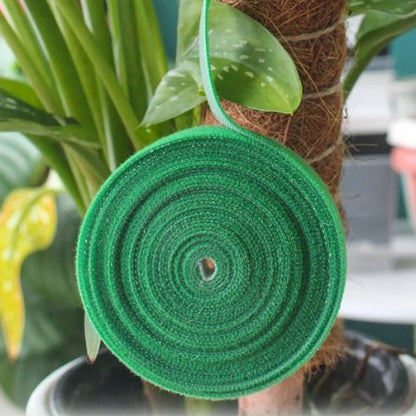 attaches-pour-plantes-grimpantes