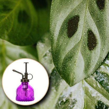 brumérisateur-variante-mauve