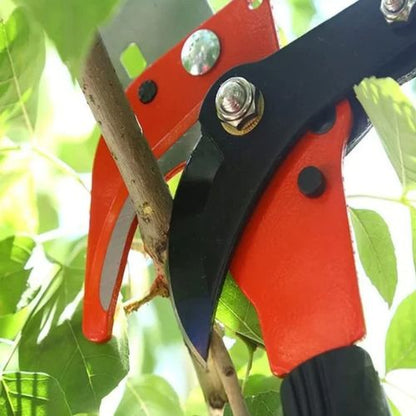 Secateur Telescopique | SkyTrim