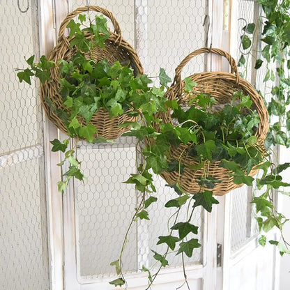 Plantes suspendues - Panier Osier