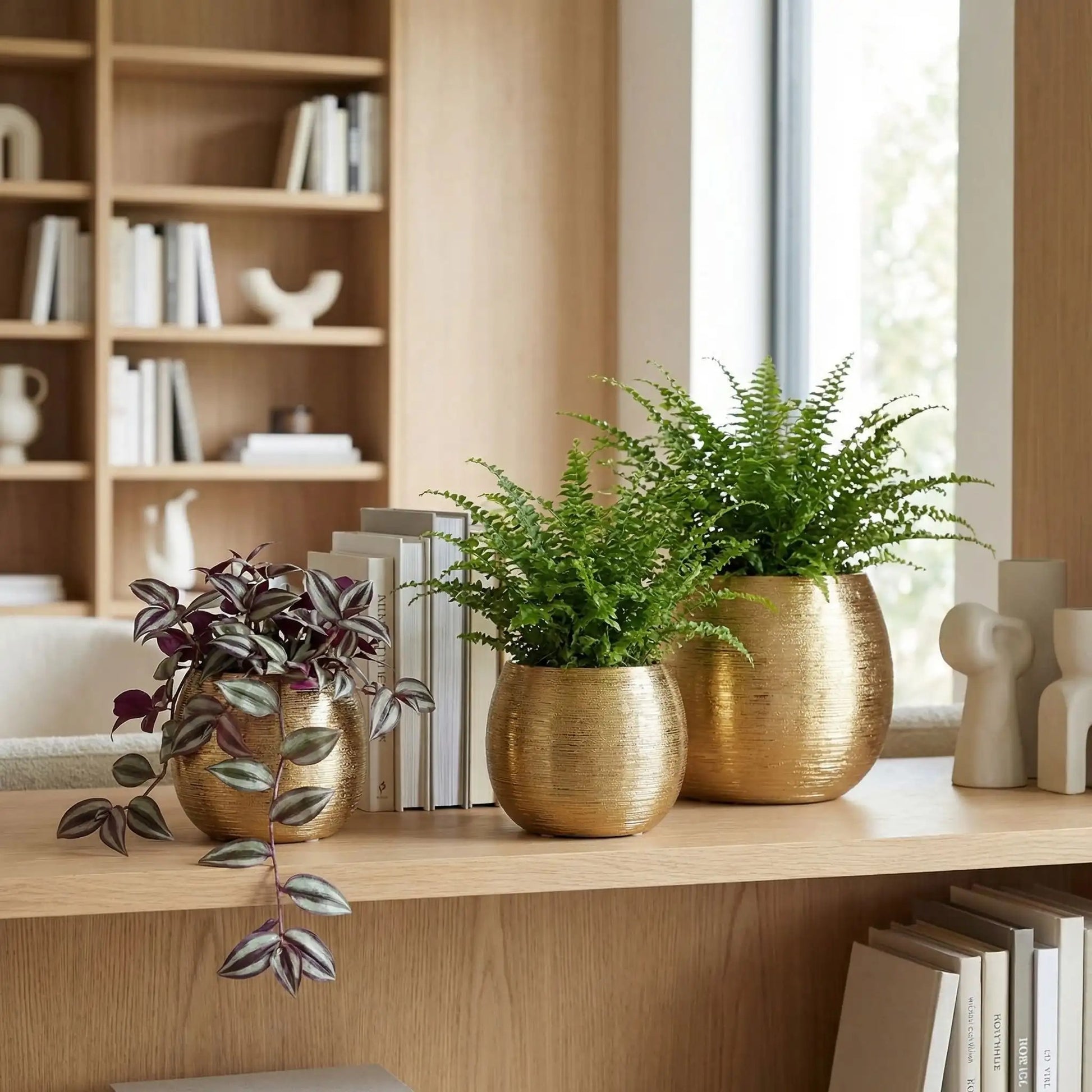 cache-pot-bibliothèque