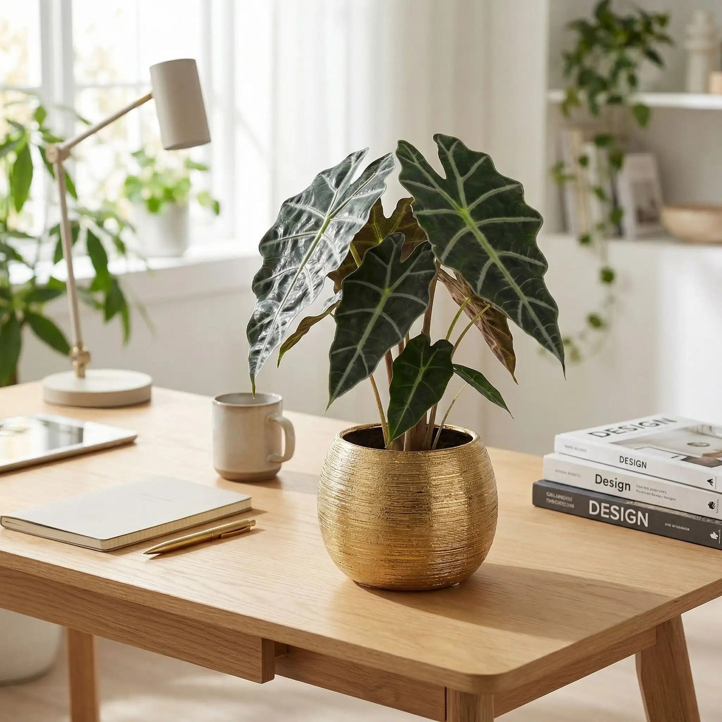 cache-pot-bureau