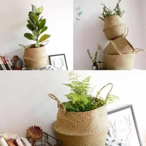 Cache pot Osier | Élégance Osier™ - Passion Horticulture