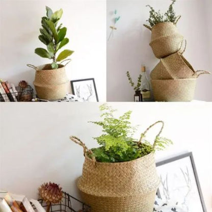 Cache pot Osier | Élégance Osier™ - Passion Horticulture