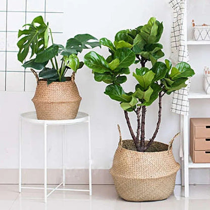 Cache pot Osier | Élégance Osier™ - Passion Horticulture