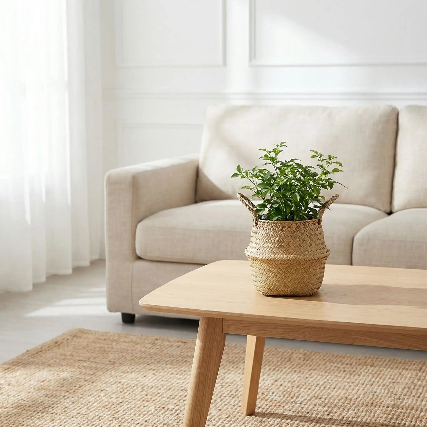 Cache pot  |  Osier Naturel