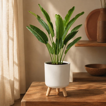 cache-pot-sur-pied-blanc