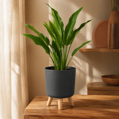 cache-pot-sur-pied-gris