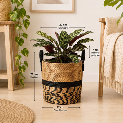 cache-pots-en-osier-petit