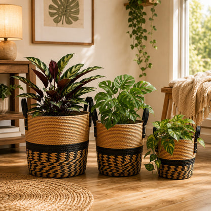 cache-pots-en-osier-salon