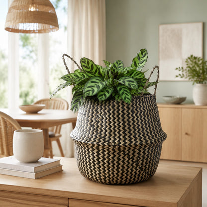Cache pots osier | Bohème
