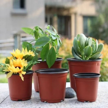 Pots de fleurs - Rempotage