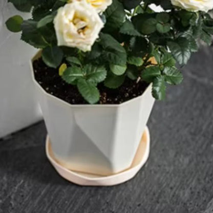 Pot de fleur