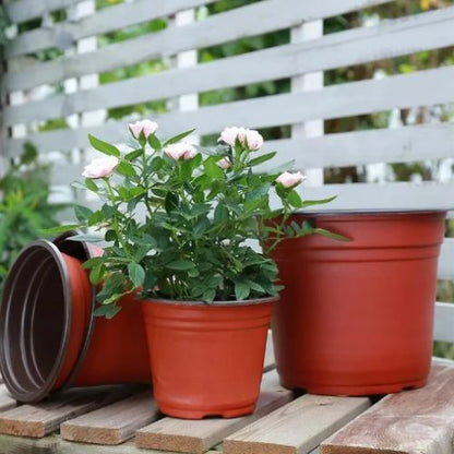 Pots de fleurs - Rempotage