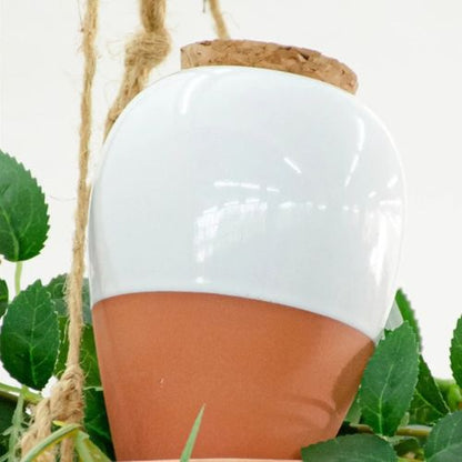 arrosage-par-goutte-a-goutte-moderne