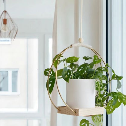 Suspension Plante | Floating Flora™