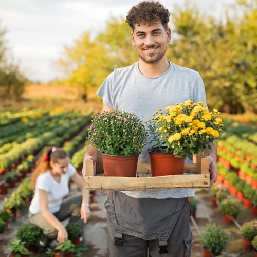 Pots de fleurs - Rempotage