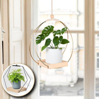 Suspension Plante | Floating Flora™