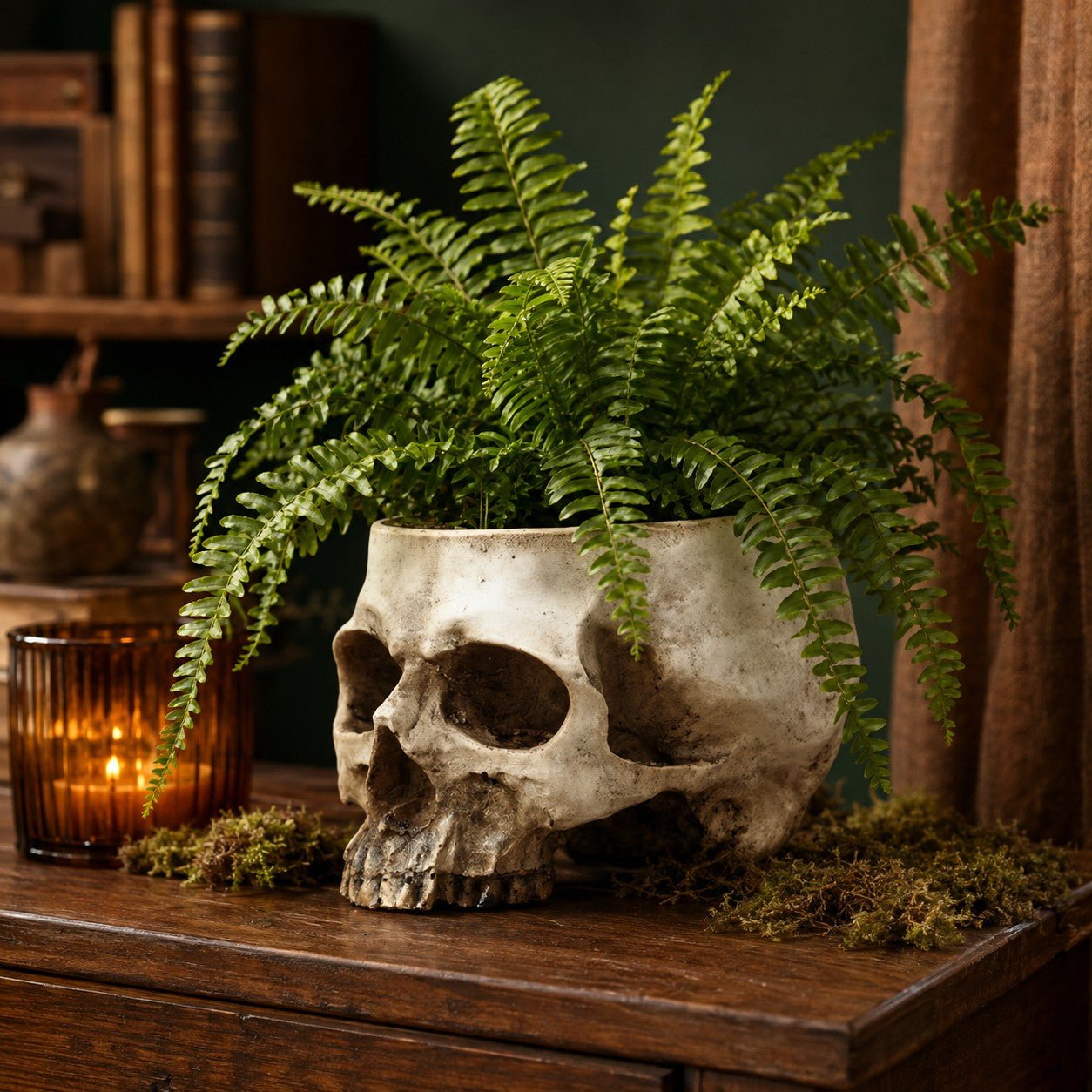 design-cache-pot-crâne 