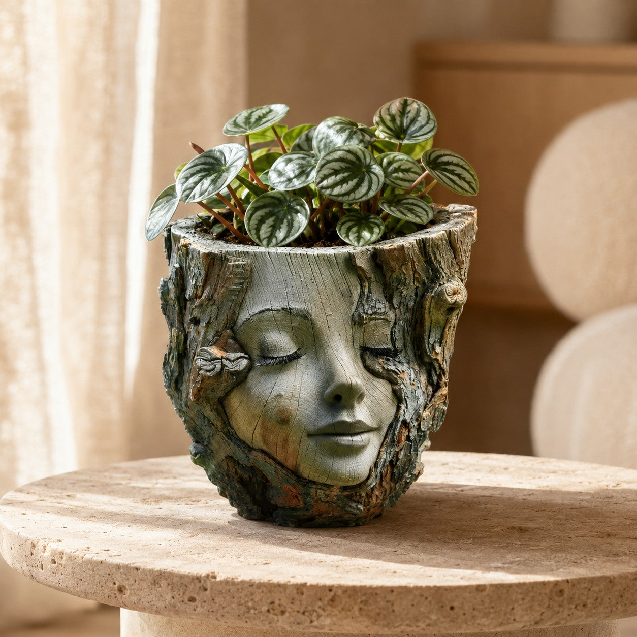design-cache-pot-intérieur