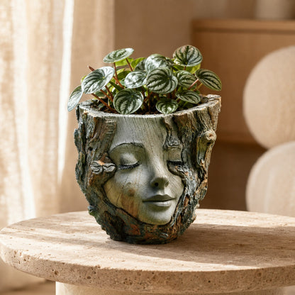design-cache-pot-intérieur